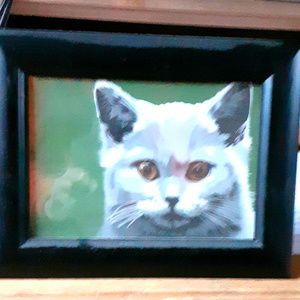 Framed Cat Portrait. Copy of classic cat stare
